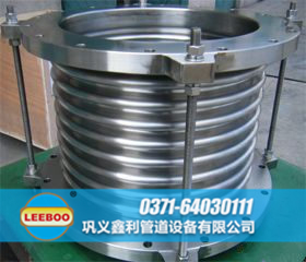 DN200<a href=http://www.czjspx.com target=_blank class=infotextkey>補償器</a>